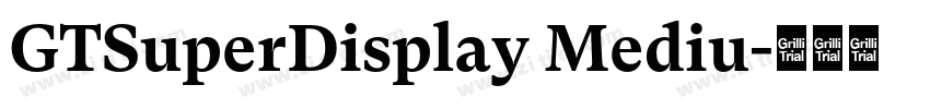 GTSuperDisplay Mediu字体转换